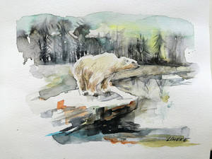 Icebear in watercolor