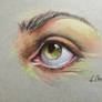 Eye study in Pastel Pencil