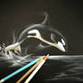 Jumping Orca on black paper