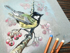 Great Tit in Pastel Pencil