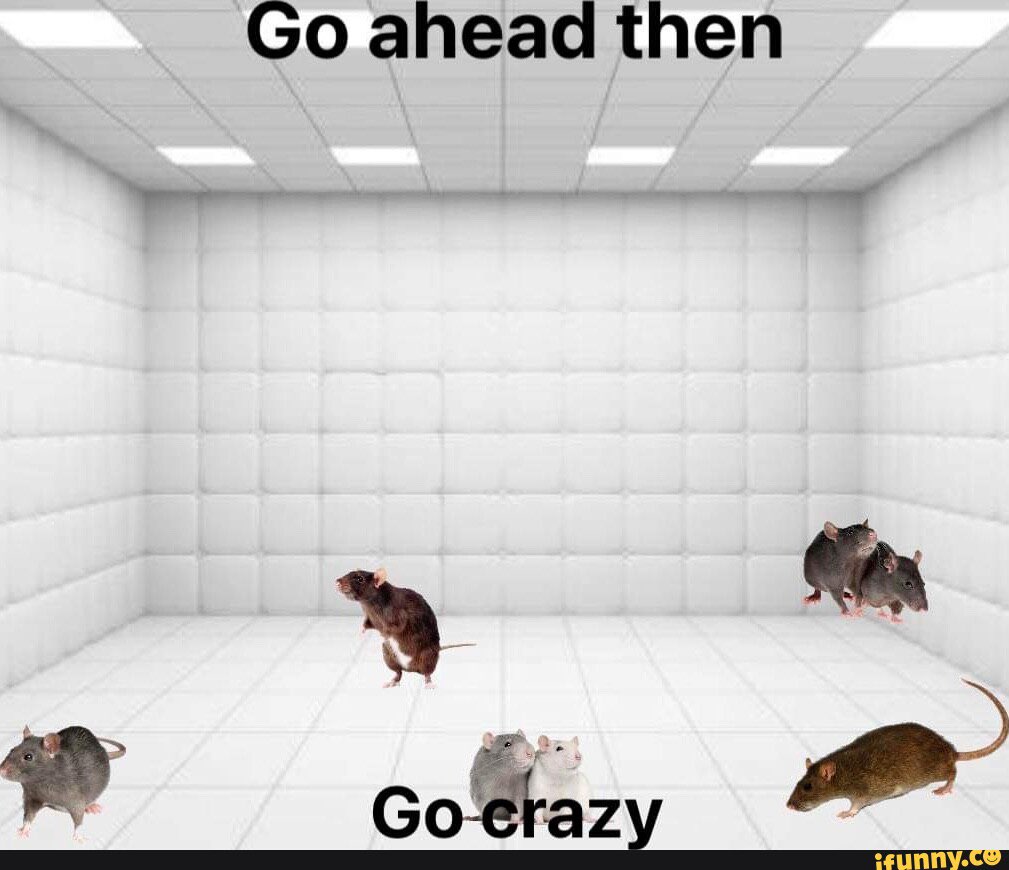 Crazy? I Was Crazy Once Svg, A Rubber Room With Rats Svg, And Rats Make Me  Crazy Svg, Funny Meme Svg