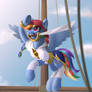 Pirate Dashie