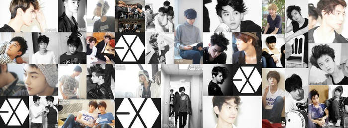 EXO cover