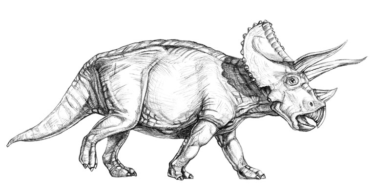 triceratops