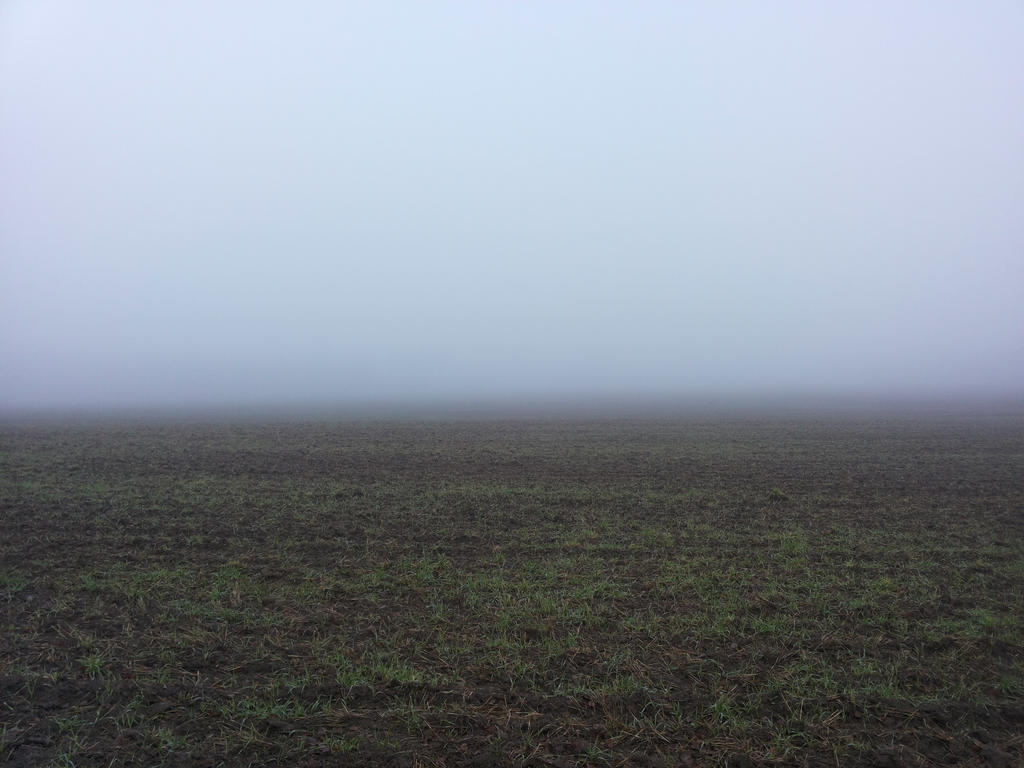 Cultivated field in dense mist by Jormungandr82 on DeviantArt