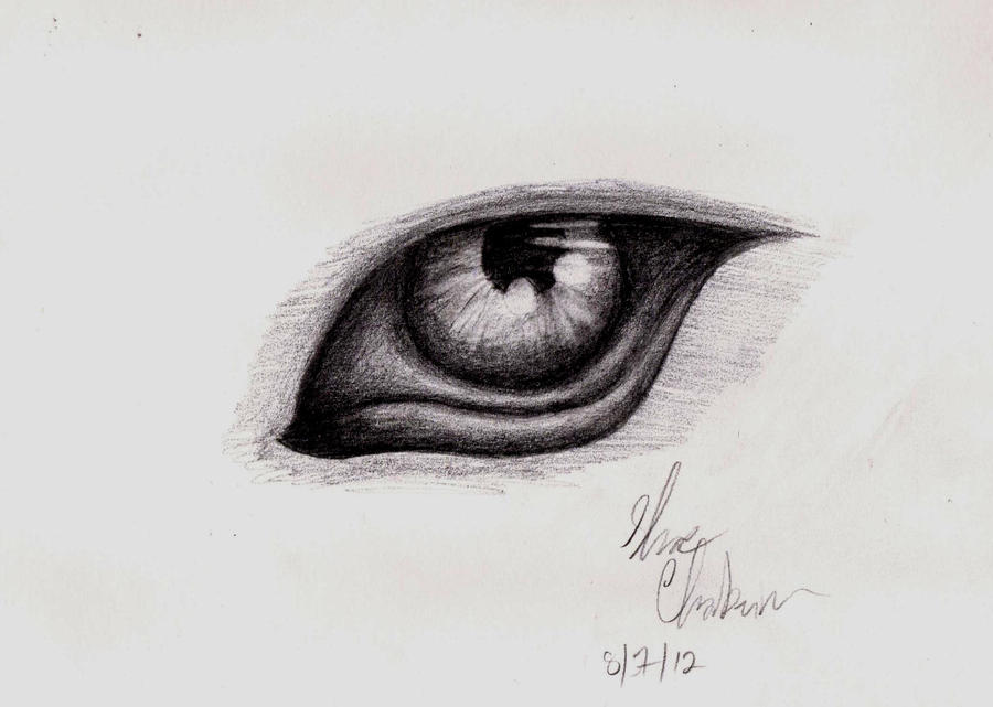 A Wolf's Eye