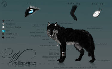 Wolfenwinter Charactersheet