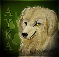 Icon Ayka