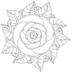 Spiraling Roses mandala