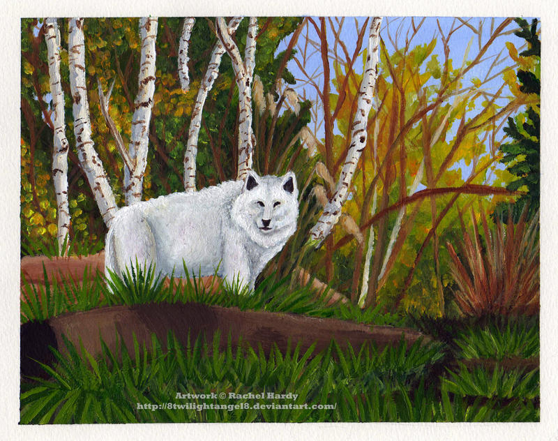 Arctic Wolf Acrylic