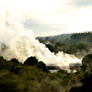 Geyser Valley