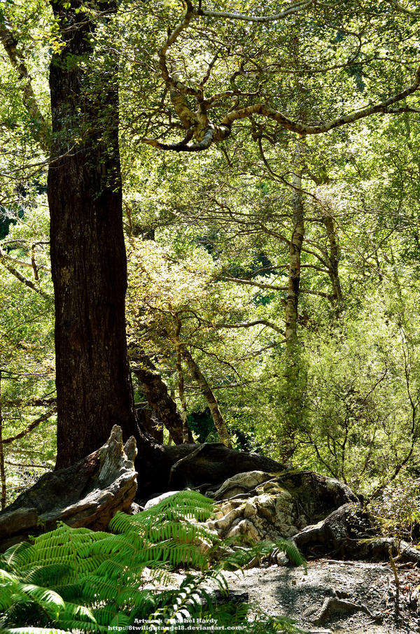 The Legolas Tree by 8TwilightAngel8 on DeviantArt