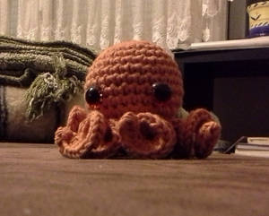 Misha the King Octopus