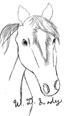 Horse Sketch WIP