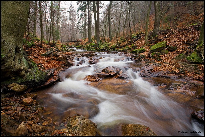 Ilsetal, Late Autumn