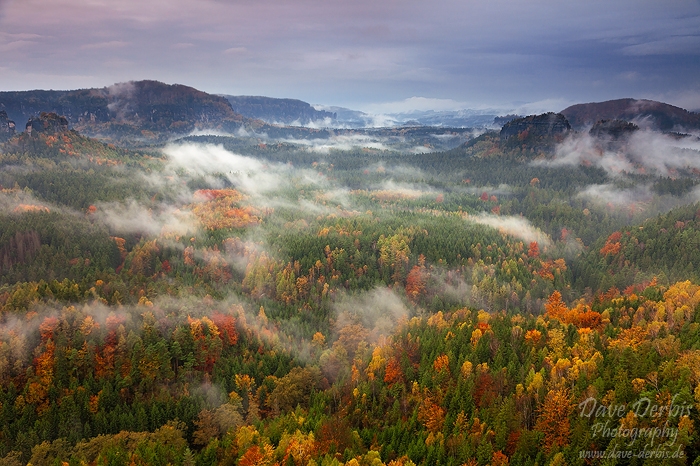 Autumn Elements