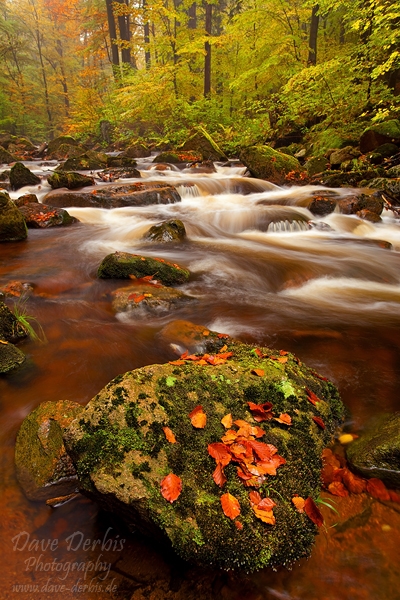 Autumn Cascade