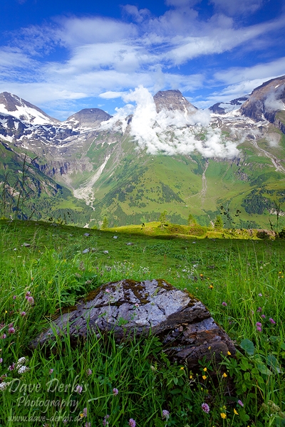 Mountain Beauty