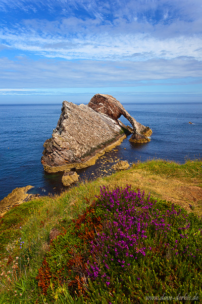 Bow Fiddle Rock