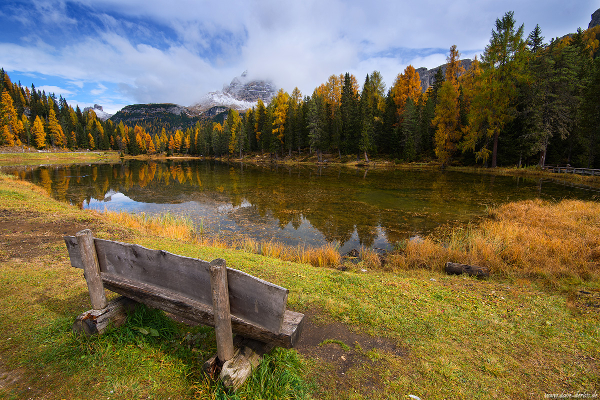 Autumn View