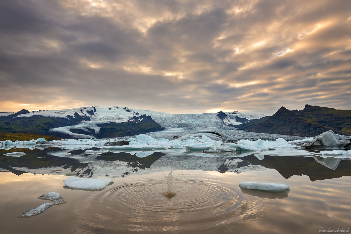 Fjallsarlon