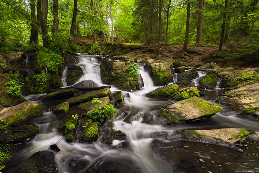 Selke Falls Summer