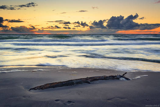 Golden Hour Beach