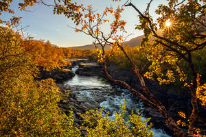 Abisko Canyon Sun