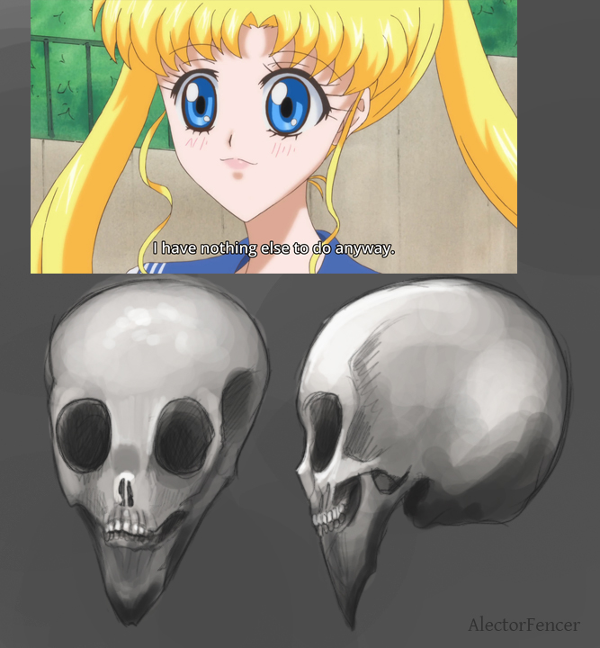 Usagi Skull Study