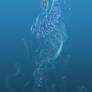 Meduse Dream