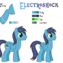 Electroshock Reference Sheet