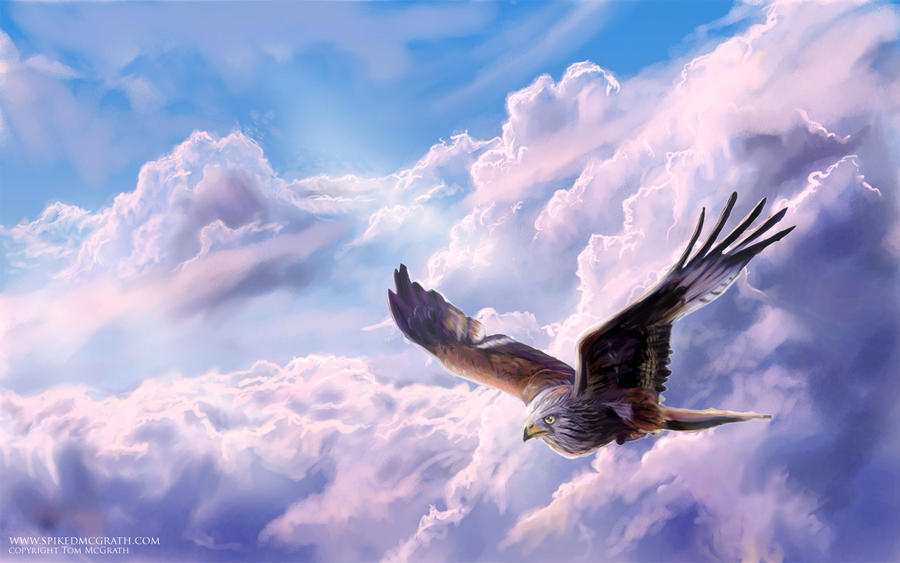 Soaring Free by SpikedMcGrath on DeviantArt