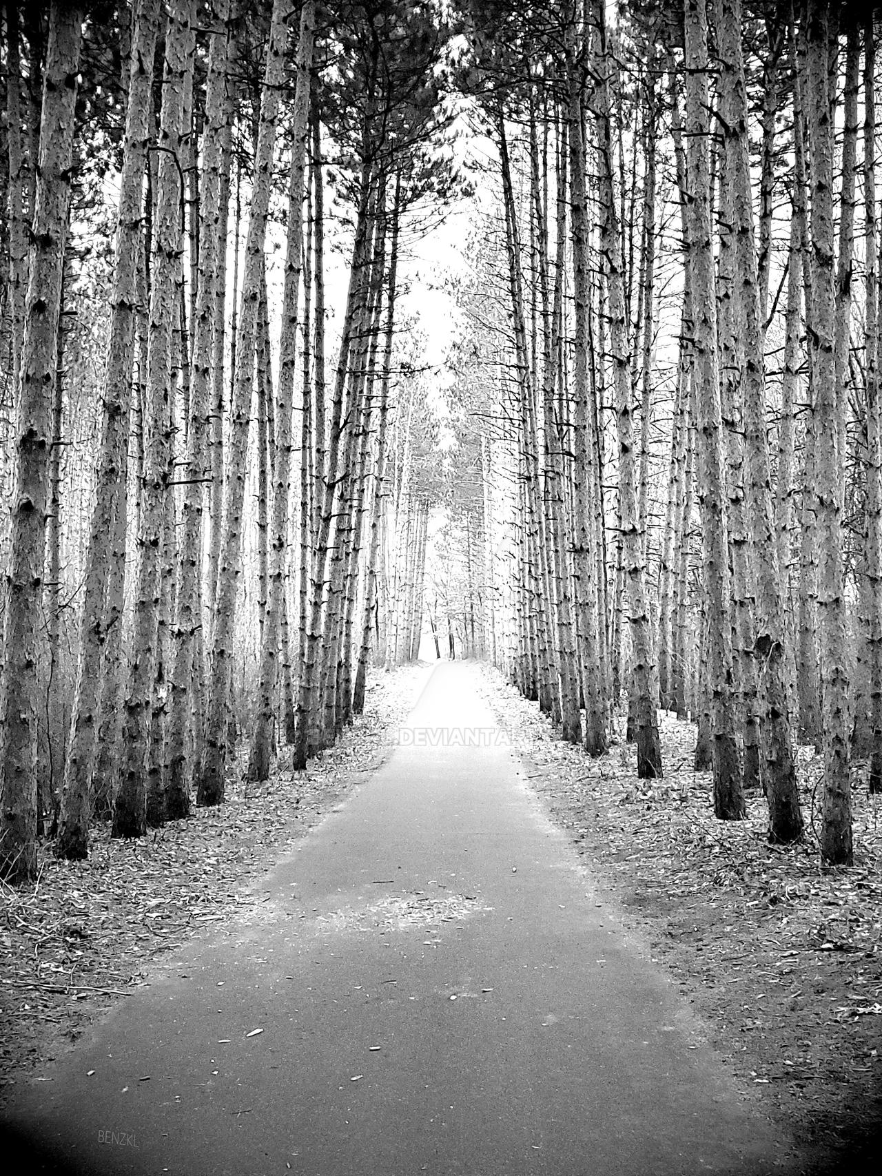 Lighted Path by BenzKL on DeviantArt
