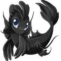 Black koi version one