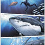 World's Deadliest Sharks