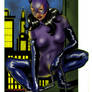 Catwoman 3