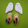 snow owl + barn owl