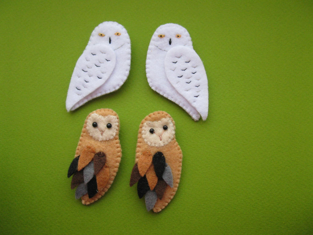 snow owl + barn owl