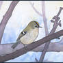 Goldcrest