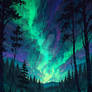 Default A dense forest filled with tall ancient tr