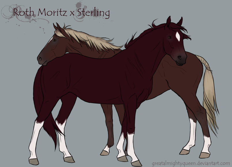 Roth Moritz x Sterling