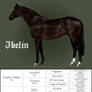 HARPG: Ibelin