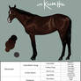 Yearlings: Hip 3