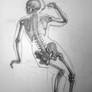 Woman figure bones