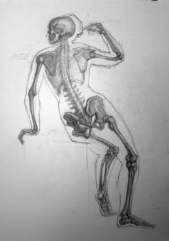 Woman figure bones