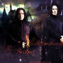 Severus Snape