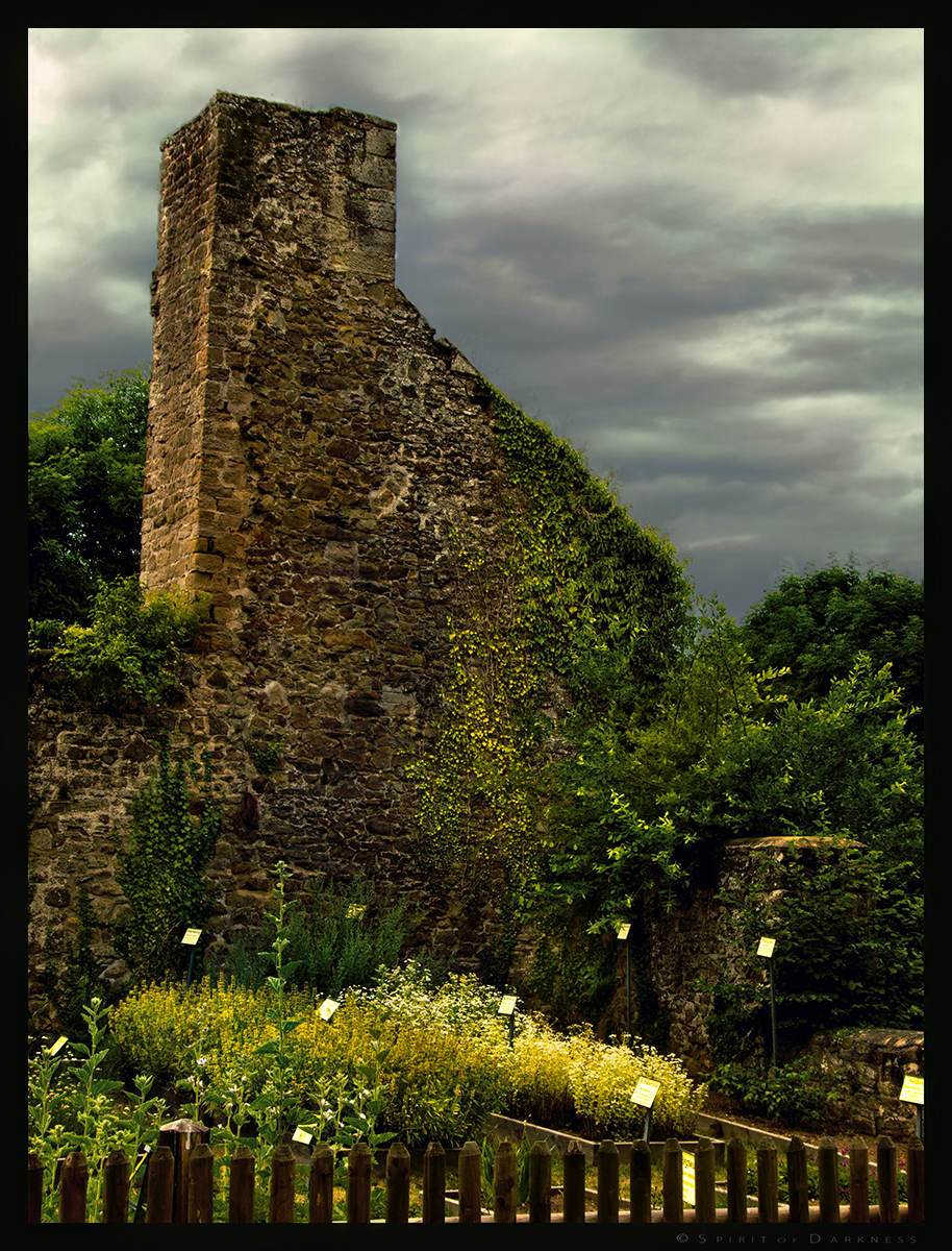 Herb Garden