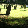 Cimitery