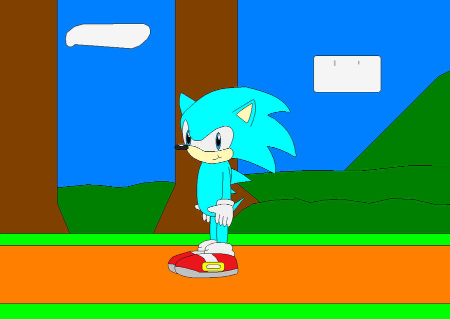 Ramon The Hedgehog by MegaTheHedgehog1996 on DeviantArt