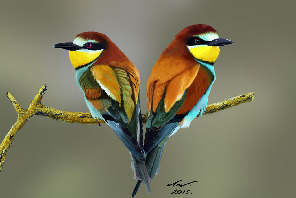 Bee-Eaters by niveky